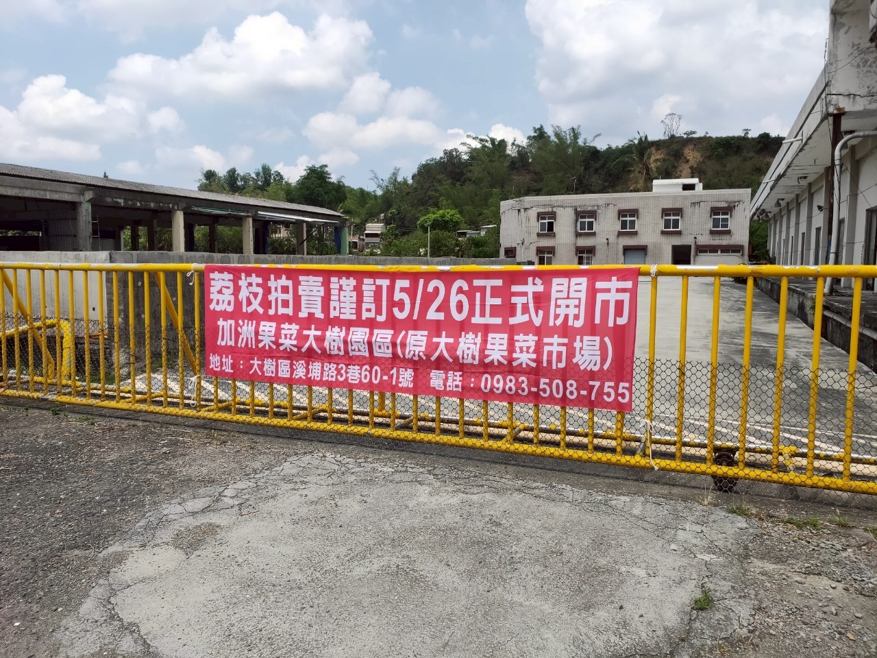 玉荷包開賣啦! 大樹果菜市場5/26拍賣起跑