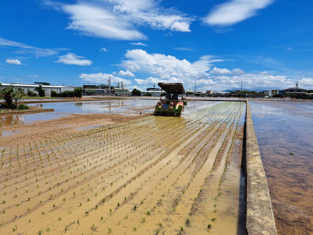 台肥開發液態型緩釋肥 台灣精準農業注入全新動能 1 11405232