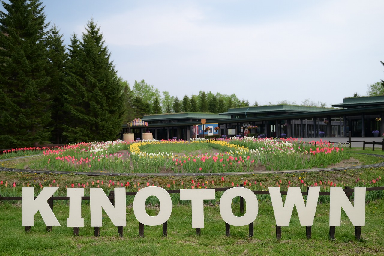 札幌近郊最大規模!國營瀧野鈴蘭丘陵公園鬱金香花海美瘋了!