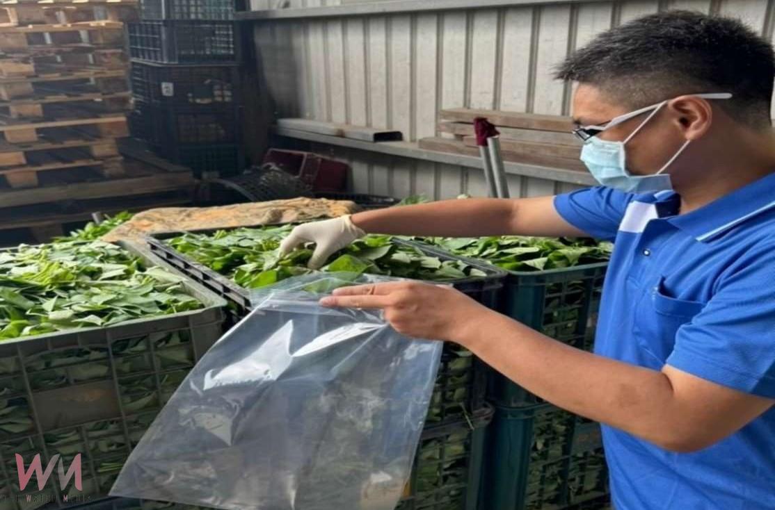 端午粽食安全過關 雲林抽驗65件全數合格 - https://www.watchmedia01.com
