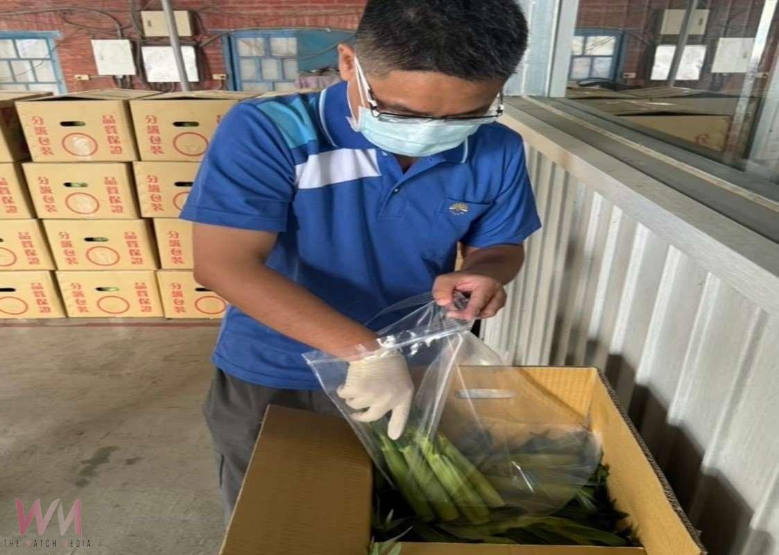 端午粽食安全過關 雲林抽驗65件全數合格 - https://www.watchmedia01.com