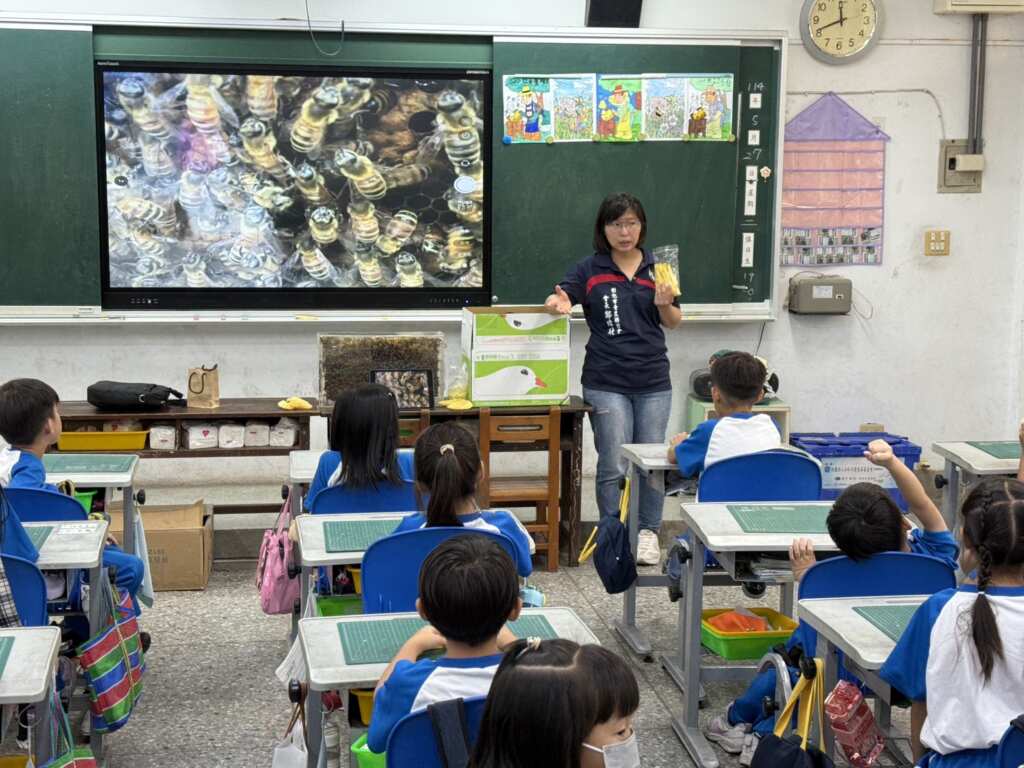 ▲蜜蜂進校園!彰化市國聖國小推SDG生態教學體驗課。(記者林明佑翻攝)