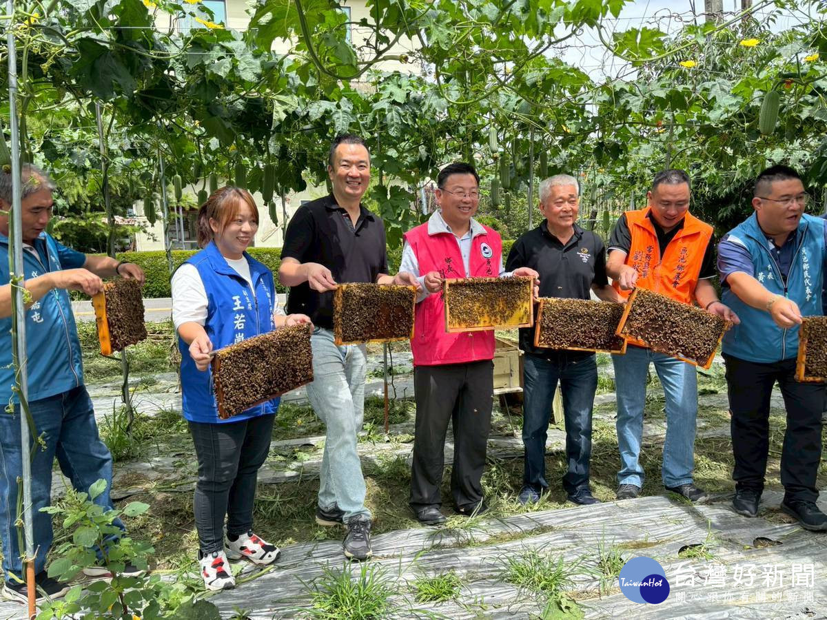 藉助蜜蜂的幫助,增加絲瓜的授粉效率,達到更好的收成。<br /><br /> <br /><br />