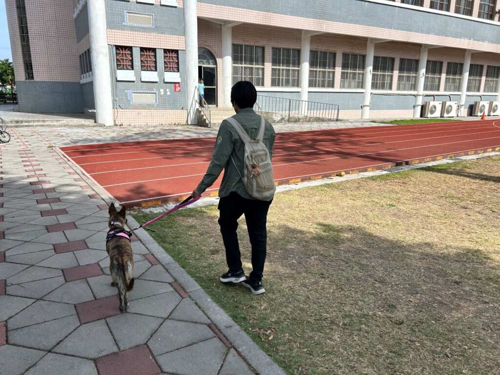 ▲寵物外出需繫繩。(屏東縣農業處提供)
