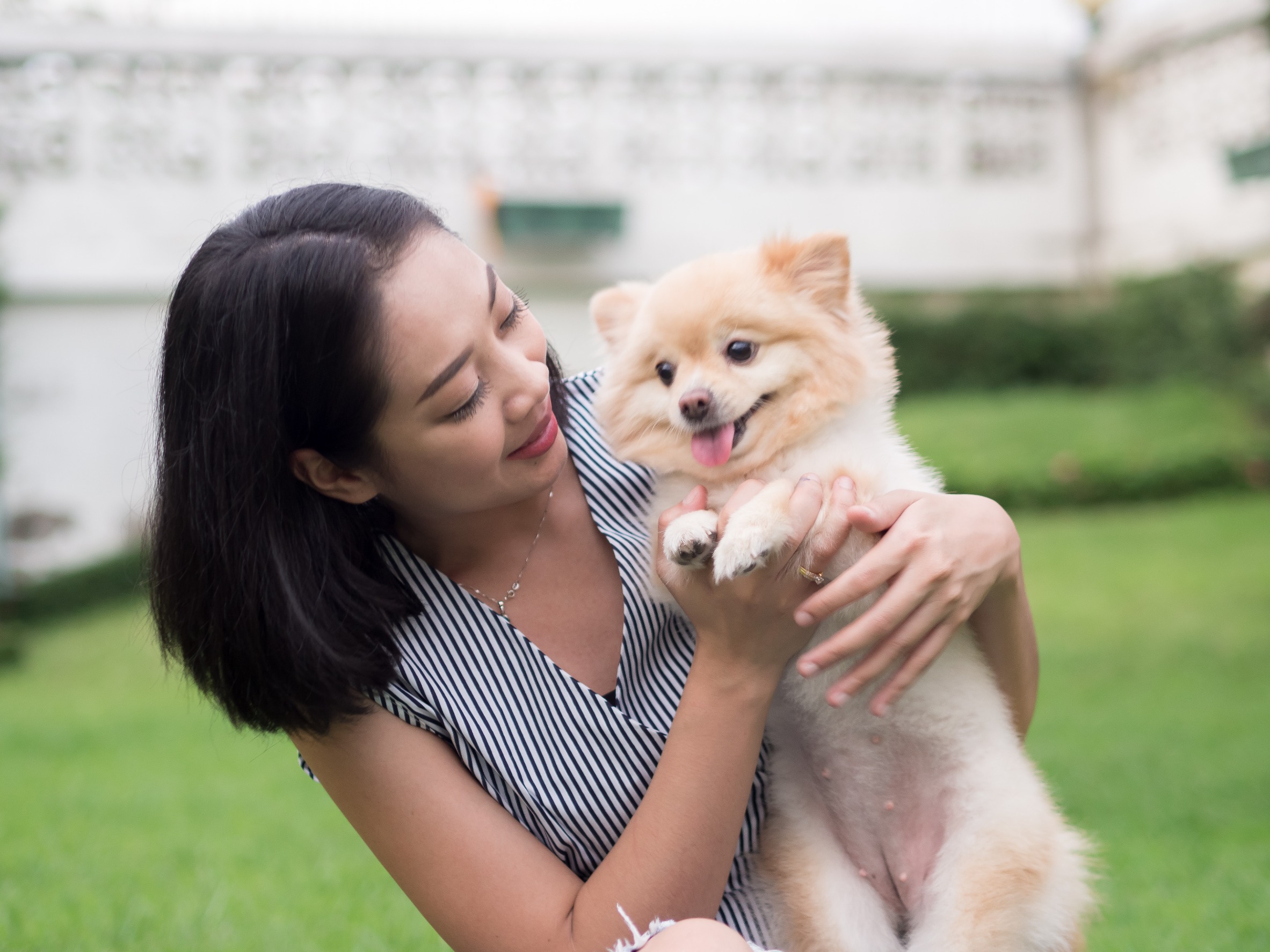 聊聊妳的寵物故事。如果沒有,也可以聊聊妳喜歡的動物有哪些,寵物話題總是能帶來溫馨的氛圍。圖/123RF圖庫