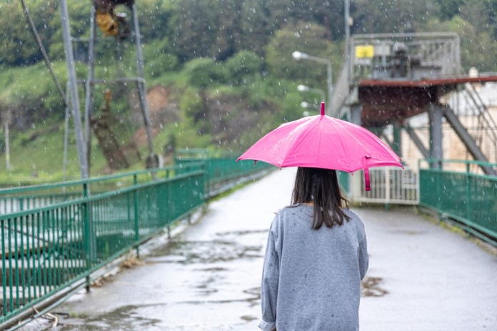 明恐迎豪大雨 桃園市府今晚成立三級應變中心 girl walks umbrella rainy weather bridge forest