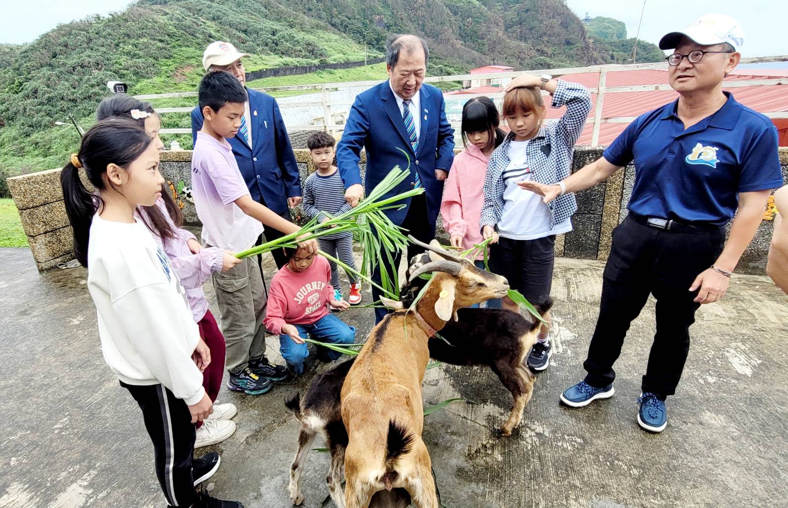 這三頭山羊作為鼻頭國小學生的「生命教育夥伴」,正式啟動「咩咩小幫手」計畫,結合生命教育與生態保育,為偏鄉校園注入新的學習動能。