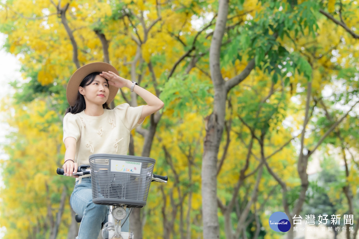 阿勃勒花季盛開之際,可騎鐵馬沿途追逐「黃金雨」。資料照/嘉義市府提供