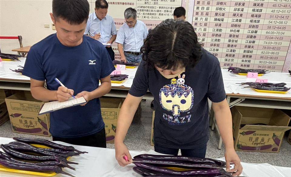 ▲為推動彰化地區的茄子品質及產業發展,今(114)年由永靖鄉農會主辦全國唯一茄子評鑑競賽。(彰化縣政府提供)