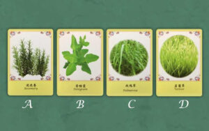 【Angela 共鳴的藍鷹占卜專欄】最近要特別小心甚麼事,怎麼做才能趨吉避凶呢? 6 46b6dd6e2faf17463453ce834d9a7db9