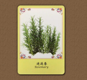 【Angela 共鳴的藍鷹占卜專欄】最近要特別小心甚麼事,怎麼做才能趨吉避凶呢? 7 789a486c6ac8c724c86d2eaf346ef3ce