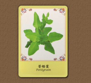 【Angela 共鳴的藍鷹占卜專欄】最近要特別小心甚麼事,怎麼做才能趨吉避凶呢? 8 d7455bab7e344cf7c0655a07290692b9