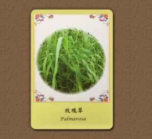 【Angela 共鳴的藍鷹占卜專欄】最近要特別小心甚麼事,怎麼做才能趨吉避凶呢? 9 77aa12280527bc16f4b7aa9fc0a6baf3