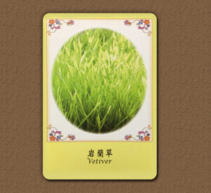 【Angela 共鳴的藍鷹占卜專欄】最近要特別小心甚麼事,怎麼做才能趨吉避凶呢? 10 388a5bc46d6e516d2dae63a1a4d3c68d