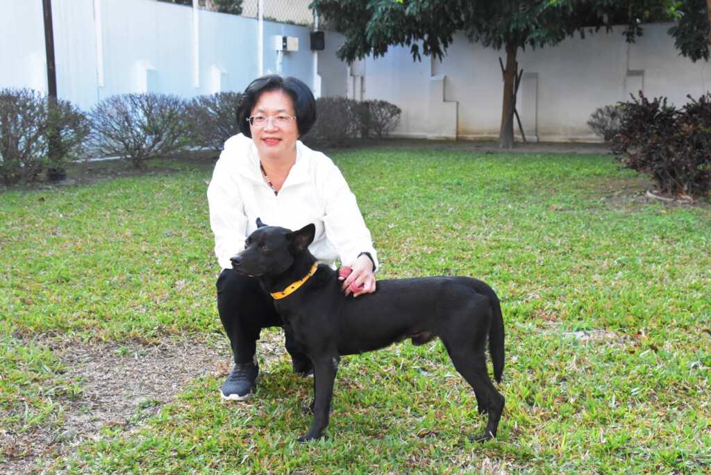 ▲彰化縣政府為配合全國流浪動物零撲殺政策,持續推動遊蕩犬貓TNVR(捕捉、絕育、注射疫苗及回置)措施,114年度再委託2家廠商辦理,預計再完成2,300隻,打造動物友善城市。(彰化縣政府提供)