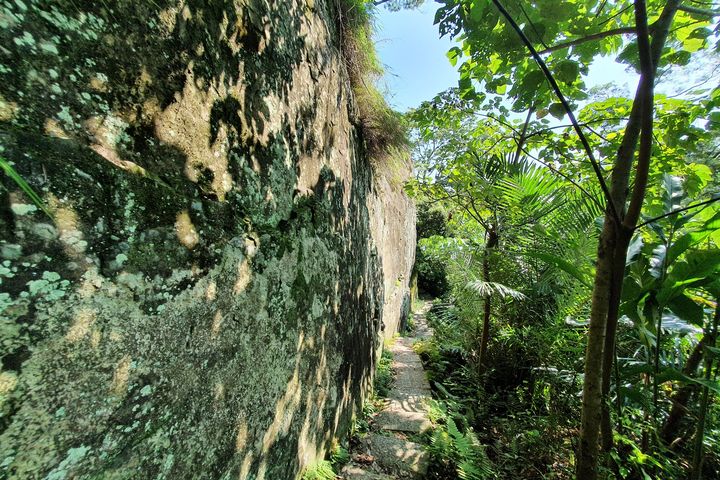 新店好Chill端午攻略 水舞、步道、老街美食全打包