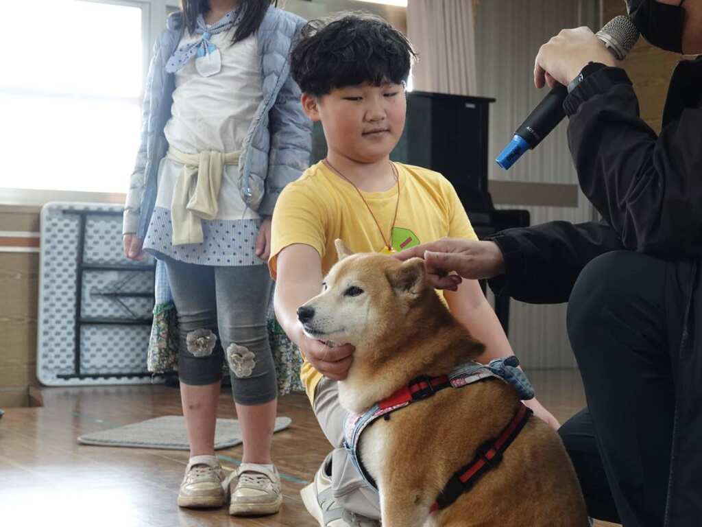 ▲水源國小孩童詢問過米爸老師,教孩童先蹲下,讓毛寶貝嗅聞味道,才能伸出手摸牠下巴。(新北市動保處提供)