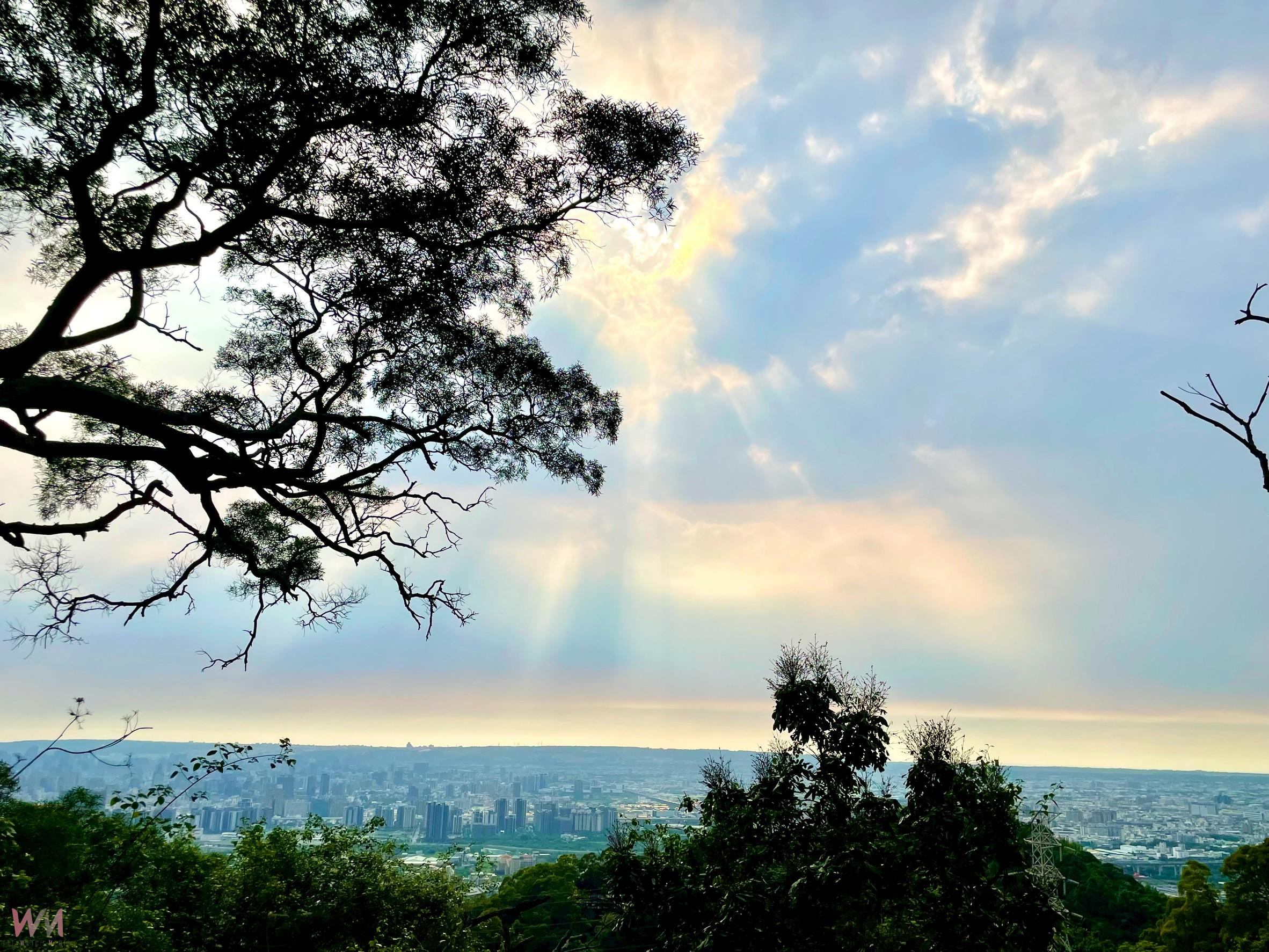 登仙境、賞生態、嚐美食 中市觀旅局邀民眾走進大坑6號仙境步道 - https://www.watchmedia01.com