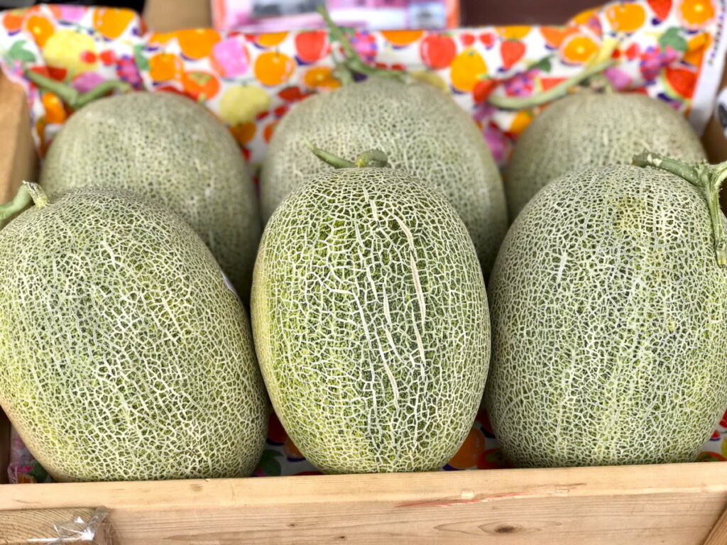 宜蘭哈密瓜