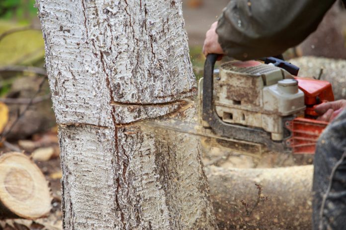 chainsaw hands scaled