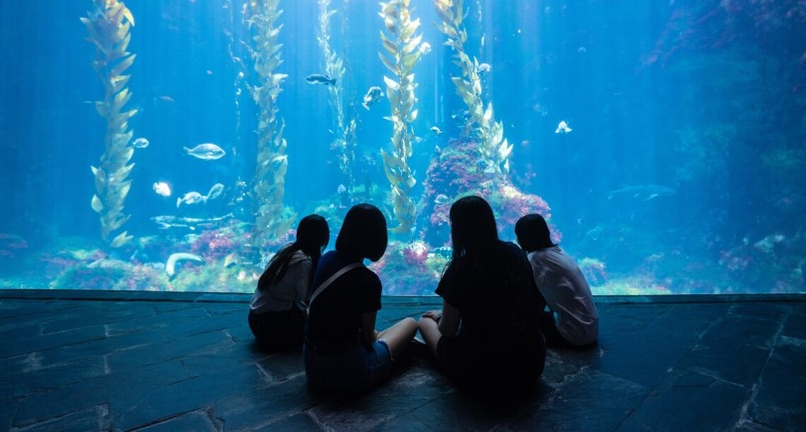 屏東海生館世界海洋日「魚樂無窮」盛大登場 首度讓民眾親手操作水下ROV 夜宿限時優惠邀您沉浸奇幻藍海!
