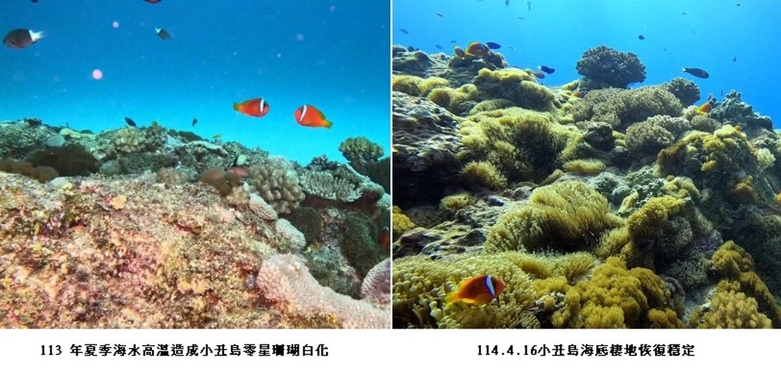 綠島知名潛點小丑島 海洋生態重現生機