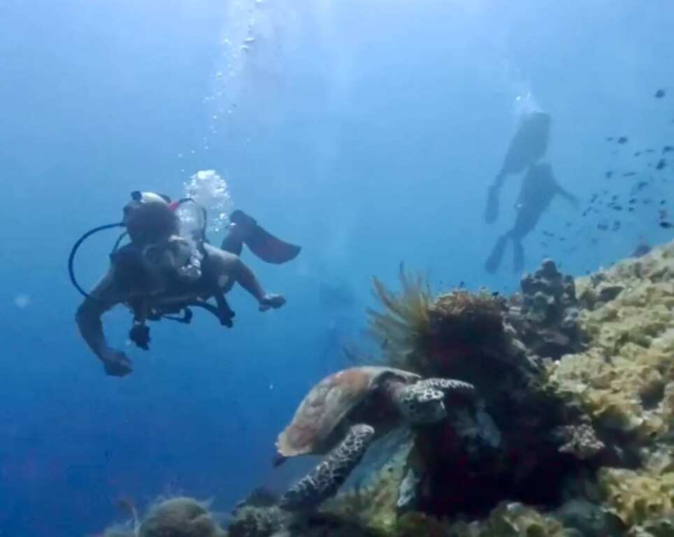 ▲台北直飛薄荷島首航啟程!2.5小時直達海洋奇觀與人文魅力一次滿足,讓旅客不再舟車勞頓,輕鬆啟程展開熱帶假期。(記者蘇彩娥攝)