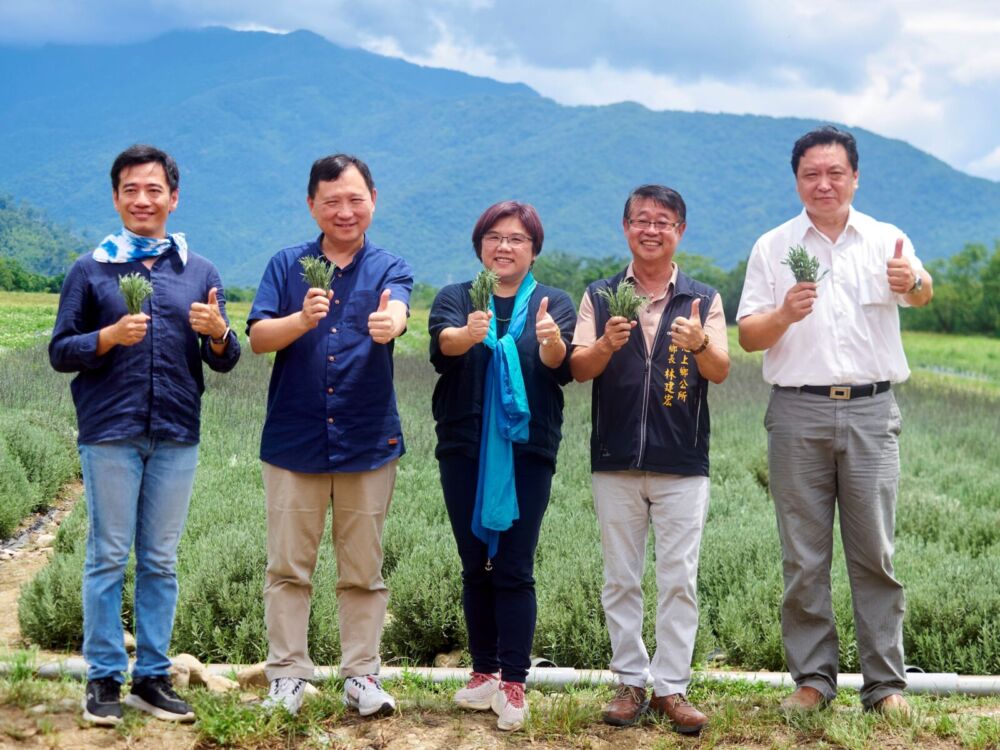 池上芙彤園首批薰衣草收成 王志輝:開啟療癒經濟新篇章 236 池上芙彤園首批薰衣草收成 王志輝:開啟療癒經濟新篇章 235