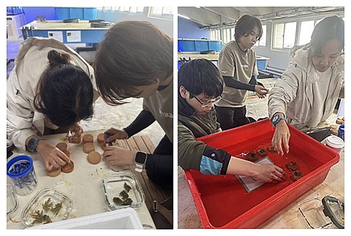 龍華科大攜手海洋大學USR創新珊瑚復育低碳技術 打造海洋永續新篇章 4