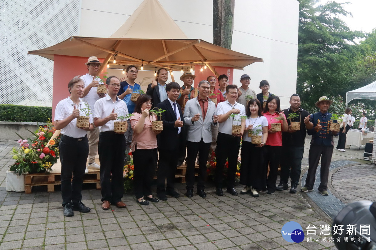 鳳凰老樹長出的新樹苗將送往各分館森生不息。(記者扶小萍攝)