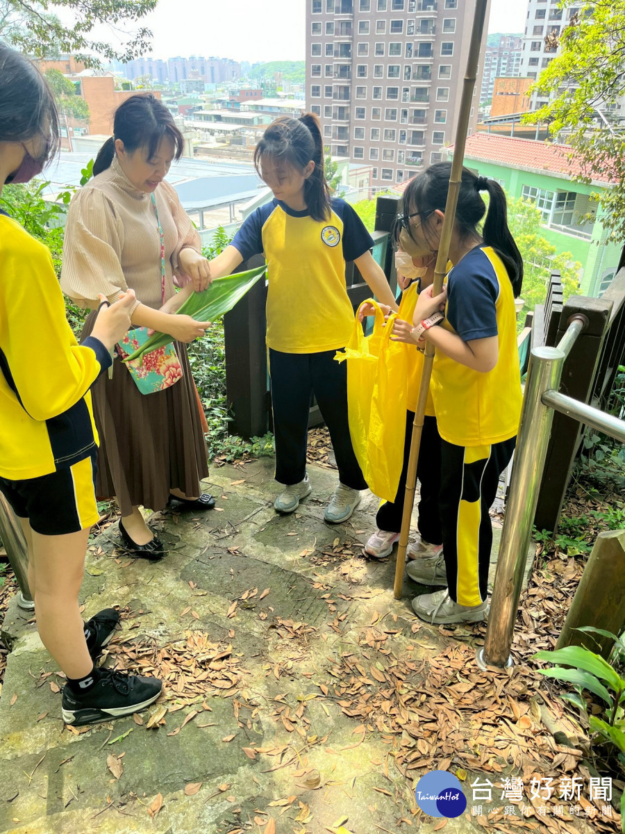 毓玲主任教學生如何分辨月桃葉