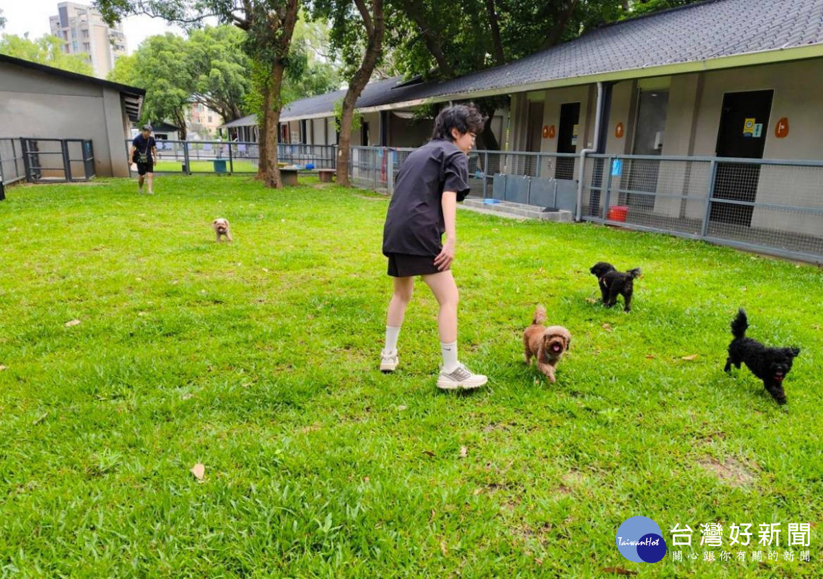 桃園首創多項全方位動物福祉,動保聲量好感度獲六都第一。