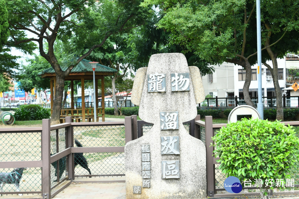 桃園首創多項全方位動物福祉,動保聲量好感度獲六都第一。
