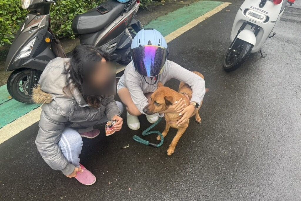 文一警立大功 我的 愛妃 終於回來了 3 MEITU 20250605 140432300