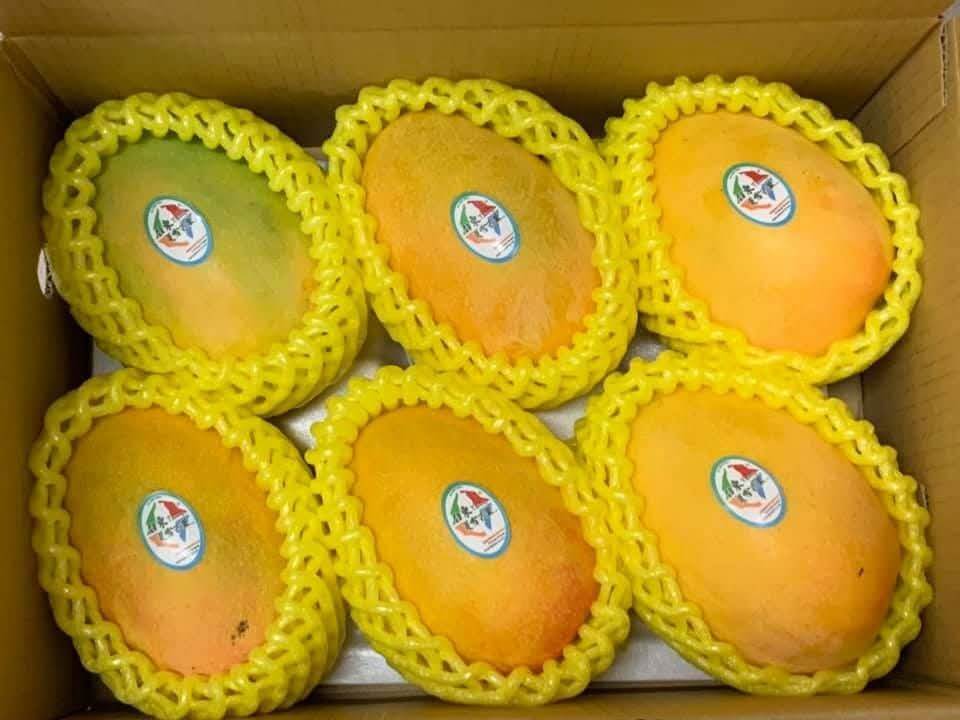 台東夏雪芒果(圖/奧丁丁市集)