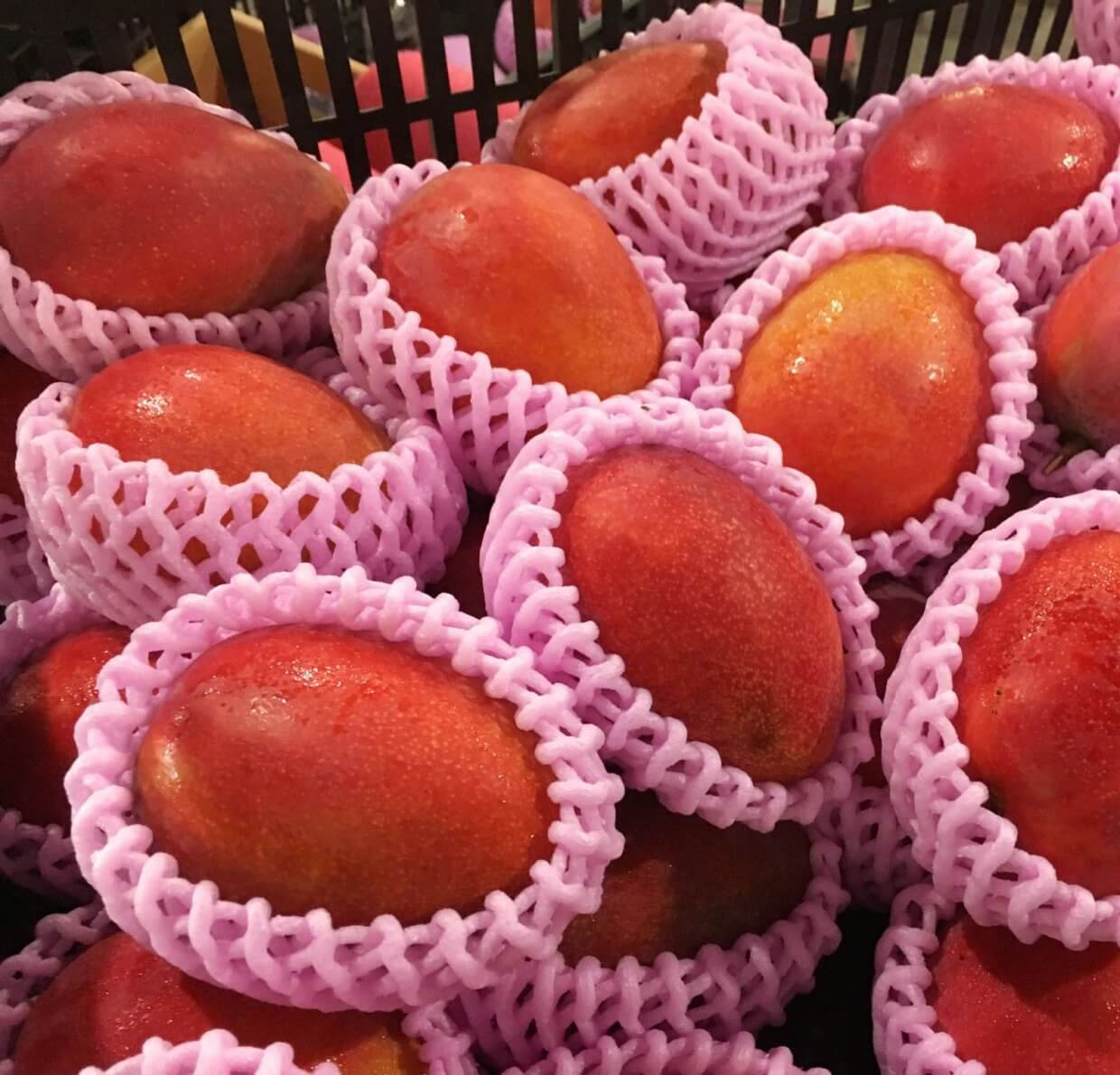 GAIA頂級外銷愛文芒果(圖/奧丁丁市集)