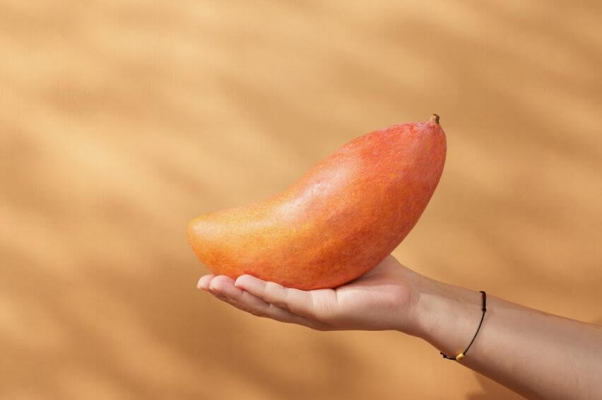 屏東鹽埔象牙芒果(圖/奧丁丁市集)