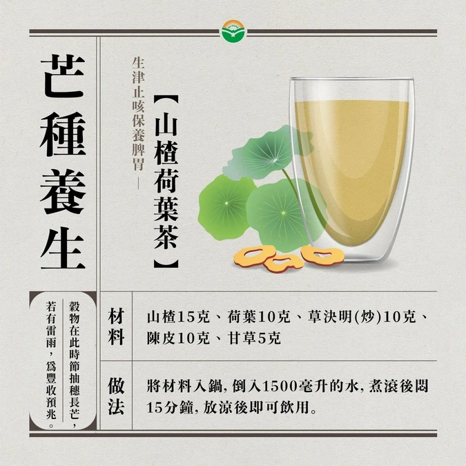 芒種保健除濕茶飲
