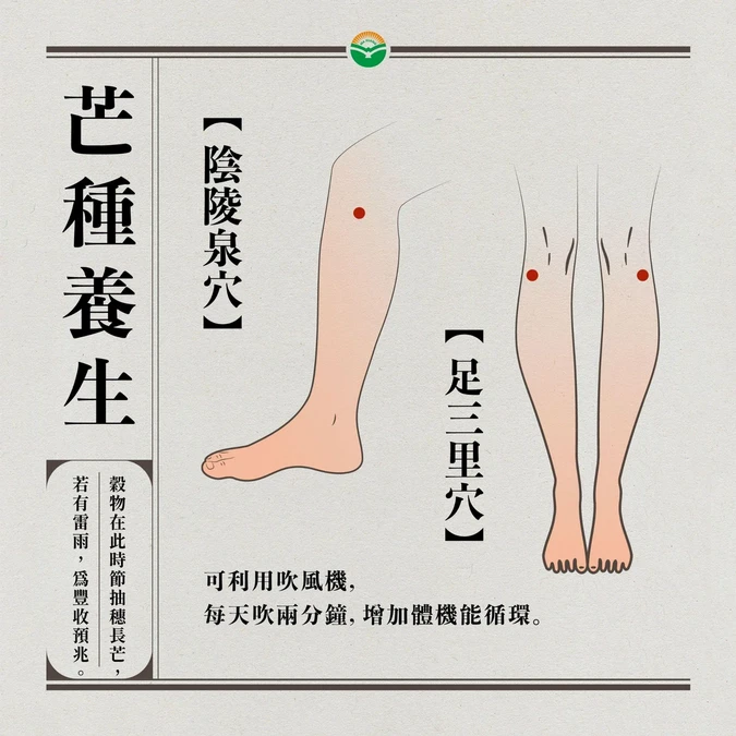 芒種穴位按摩和日常保養建議