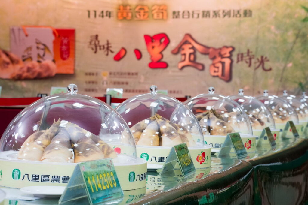 八里區農會舉辦一系列黃金筍推廣活動筍王評鑑率先登場