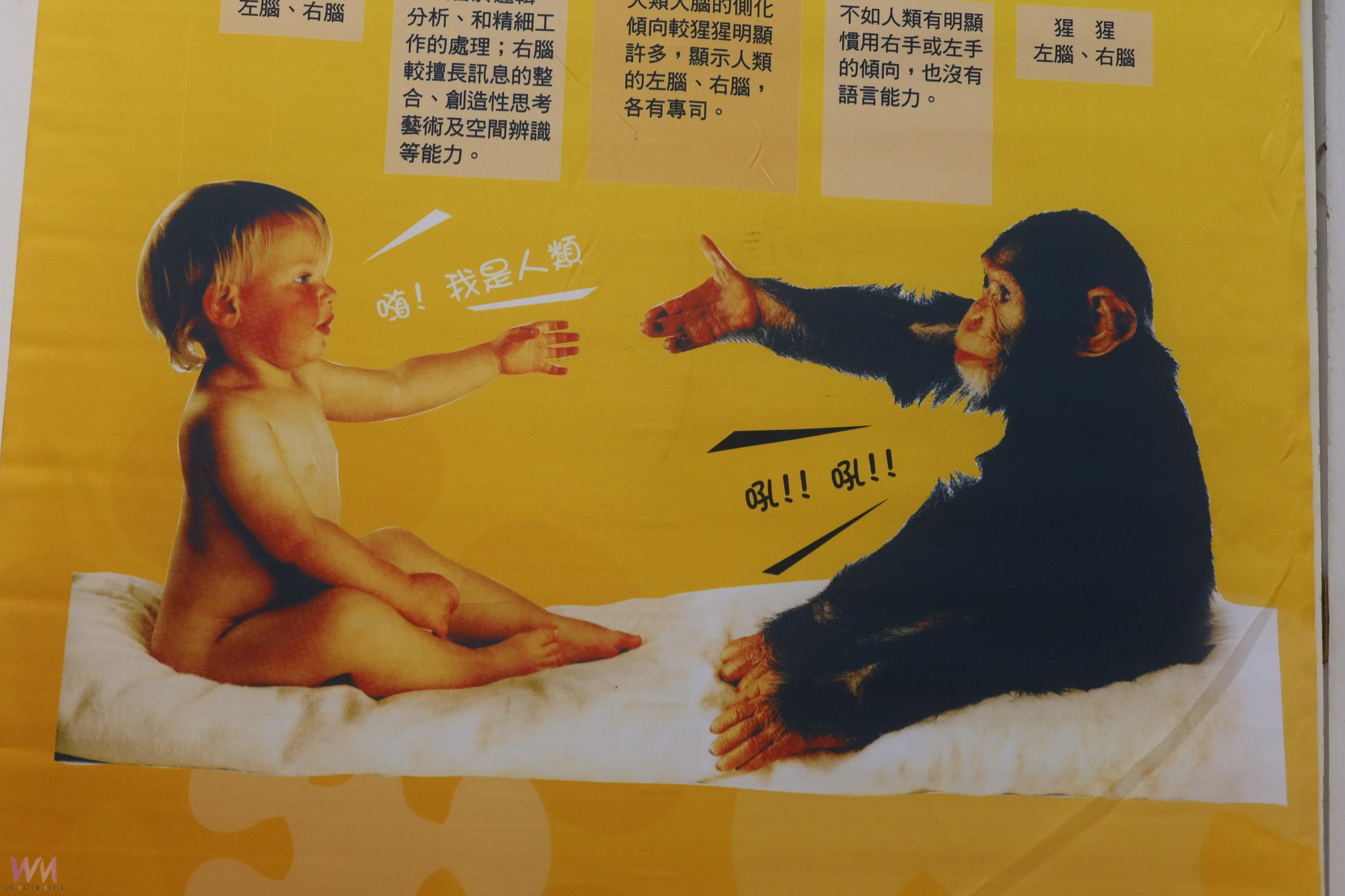 （有影片）／「腦的美麗境界」巡展彰化開展　提升民眾腦健康意識