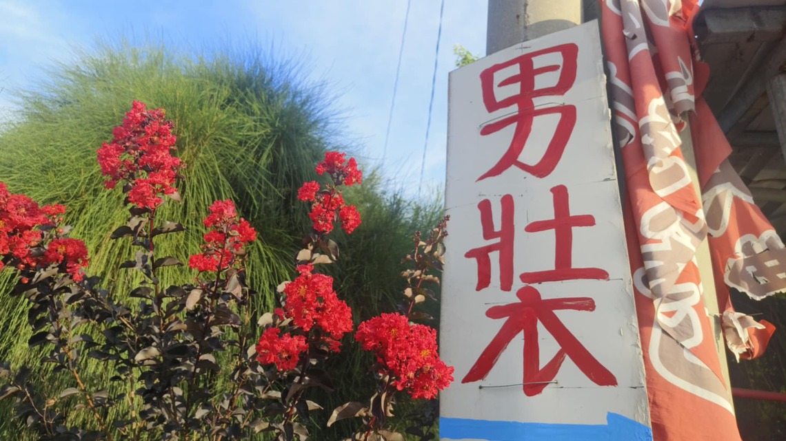 壯下面一個大,一個衣,上面可以有個草 就是沒有一個木