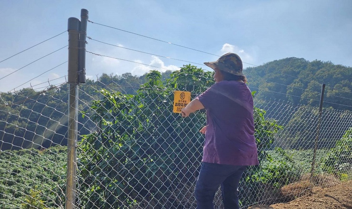 電圍網防猴效果佳 申請期限至6月底 速把握機會