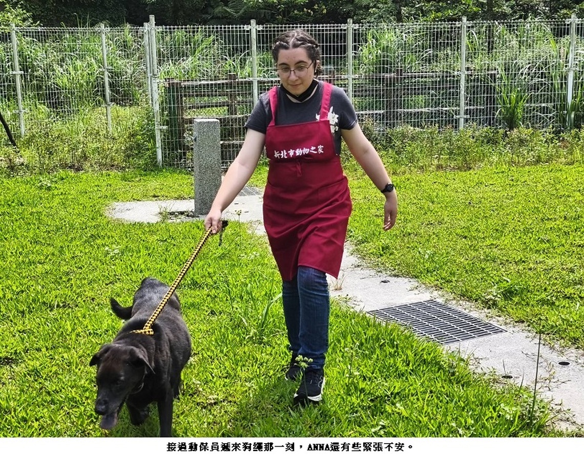 建築美學與動物關懷的溫馨交會   美女大學生訪瑞芳動物之家志工初體驗