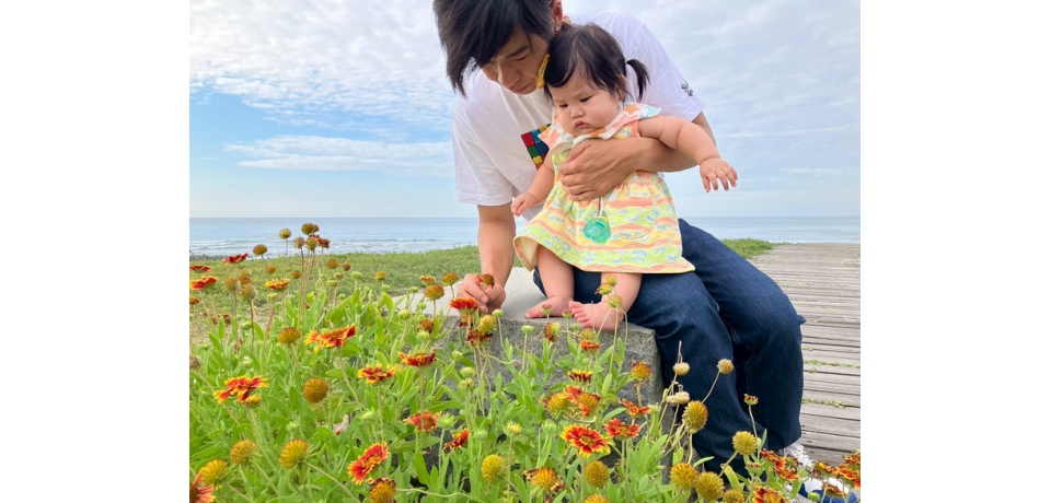 花開正盛迎夏日!新北兩大菊科花海秘境療癒綻放中