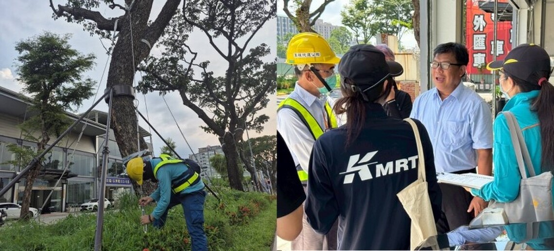 守護輕軌綠廊與市民安全 輕軌沿線樹木完成颱風季加固作業 並進行汛期防災演練