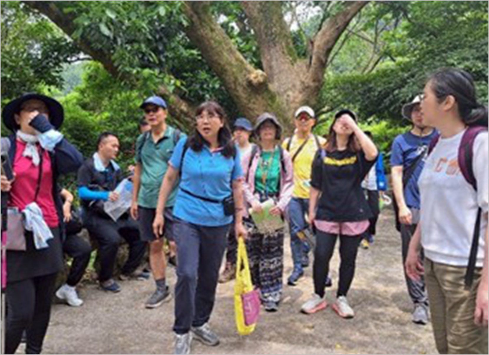 綠竹筍新鮮上桌! 名廚料理秀、美食市集,還有觀音山美景等你來暢遊