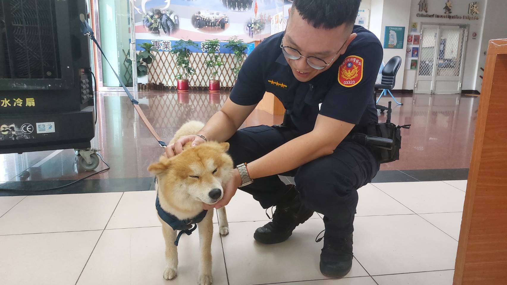 柴犬深夜街頭遊蕩 民眾協助送警尋找飼主 2191452 0