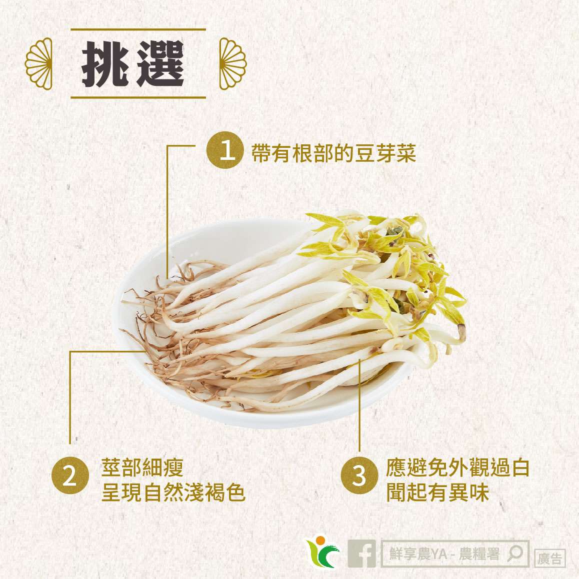 豆芽菜料理不踩雷!農糧署教你挑選、烹飪妙招 481074829 953259390286025 6692496049855020363 n