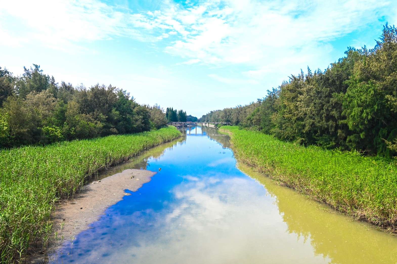 【有片】盤點桃園客家場館 范姜泰基推薦來珍珠海岸線這樣玩 後湖溪 新聞處